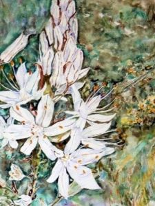 Voir le détail de cette oeuvre: Asphodèle